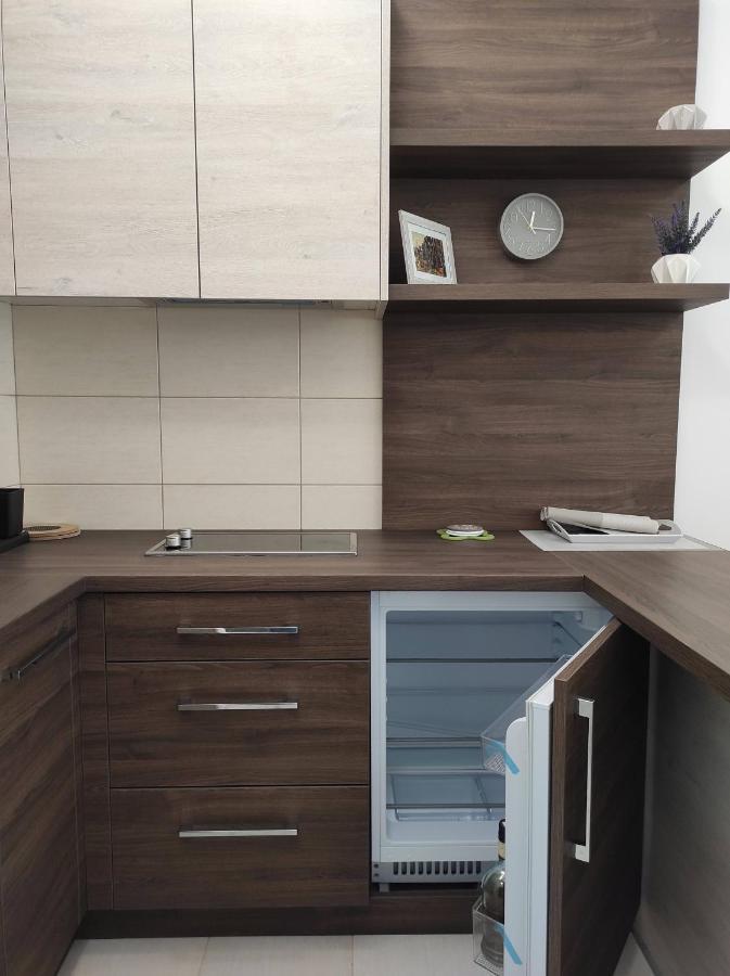 Studio Apartman Dani Banja Koviljača Dış mekan fotoğraf