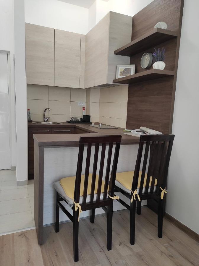 Studio Apartman Dani Banja Koviljača Dış mekan fotoğraf